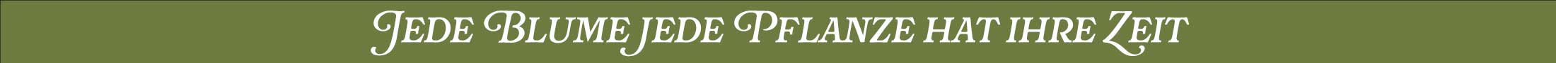 jede Blume jede Pflanze hat ihre Zeit